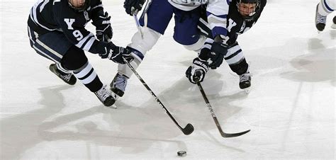 nhl tipsters|Free NHL Predictions, Tips & Best Bets .